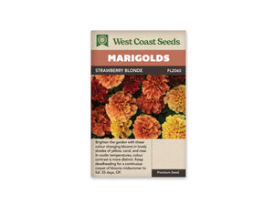 Marigold - Strawberry Blonde (Seeds)