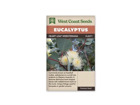 Eucalyptus - Heart Leaf Websteriana (Seeds)