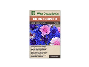 Cornflower - Tall Mixed (Seeds)