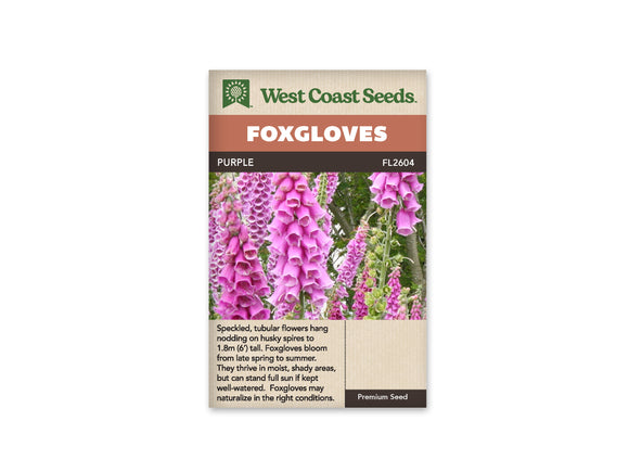 Foxglove - Purple (Seeds)