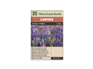 Lupins - Russell Hybrids (Seeds)
