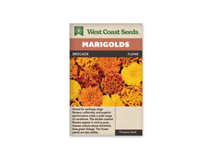 Marigold - Brocade (Seeds)