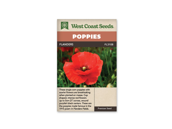 Poppies - Flanders (Seeds)