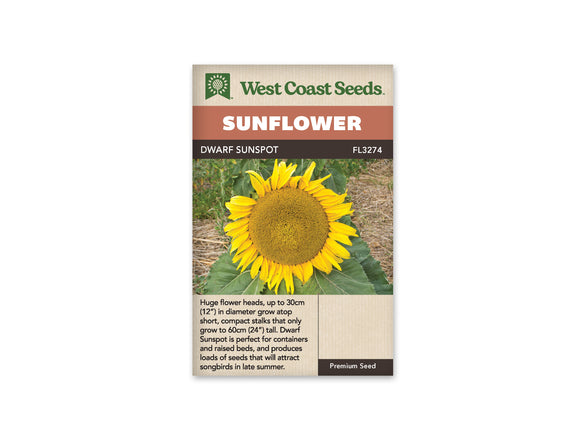 Sunflower - Dwarf Sunspot (Seeds)