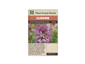 Cleome - Rocky Mountain Bee Plant (Seeds)