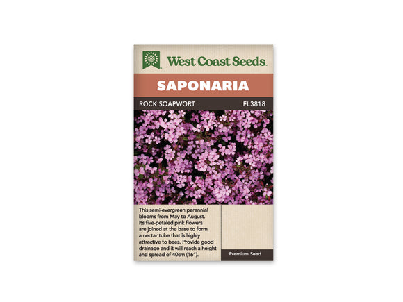 Saponaria - Rock Soapwort (Seeds)