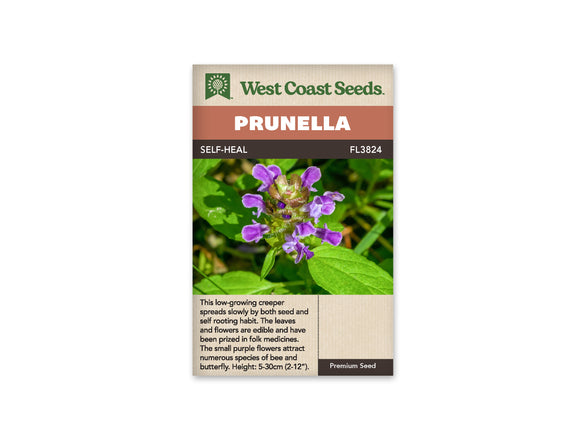 Prunella - Self Heal (Seeds)