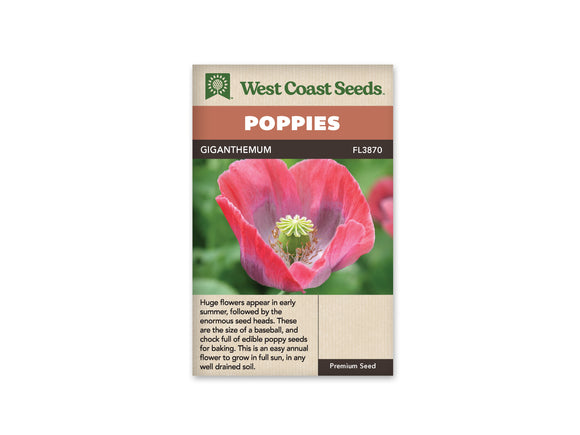 Poppies - Giganthemum (Seeds)