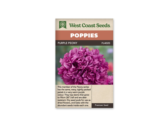 Poppy - Purple Peony (Seeds)