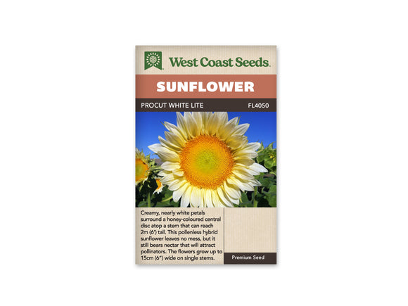 Sunflower - Procut White Lite F1 (Seeds)