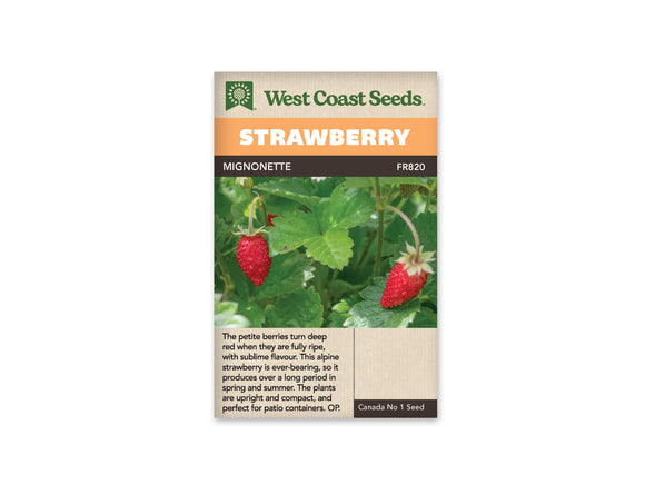 Strawberry - Mignonette (Seeds)