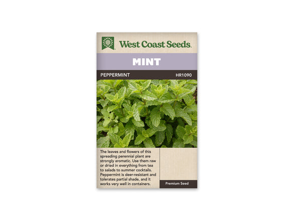 Mint - Peppermint (Seeds)