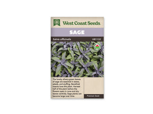 Sage Organic (Seeds)