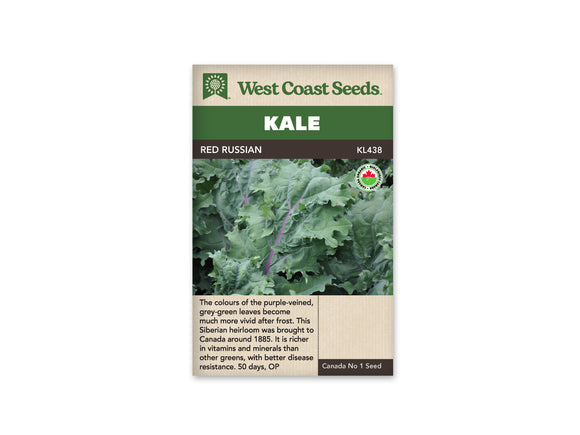 Kale - Red Russian Organic (Seeds)