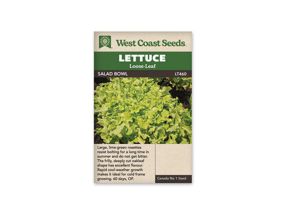 Lettuce - Salad Bowl Green (Seeds)