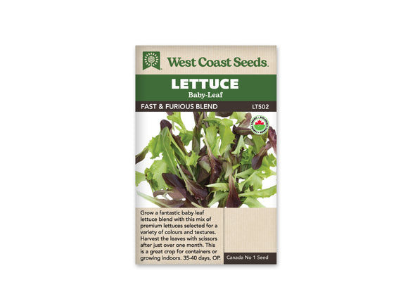 Lettuce - Fast and Furious Blend Organic (Seeds)