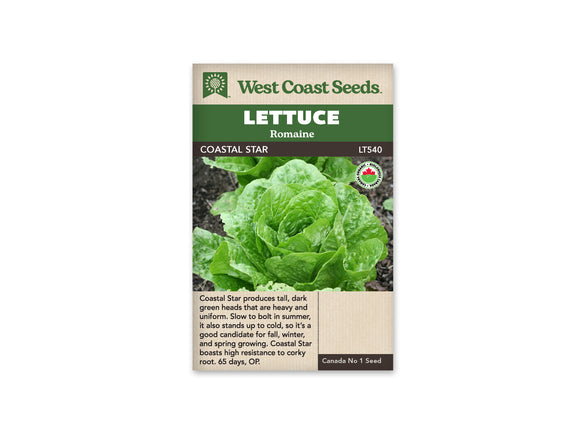Lettuce - Coastal Star Romaine Organic (Seeds)