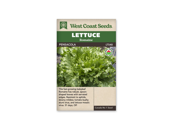 Lettuce - Pensacola Romaine Organic (Seeds)