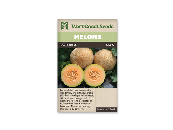 Melon - Tasty Bites F1 (Seeds)