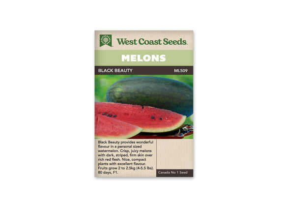 Melon - Black Beauty (Seeds)