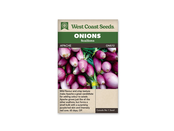 Onion - Scallions Apache (Seeds)