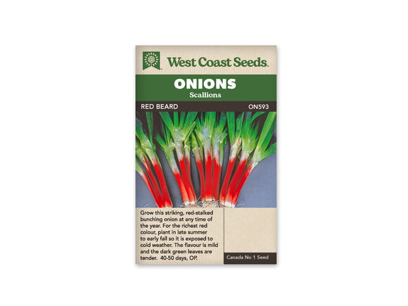 Onion Scallion - Red Beard (Seeds)