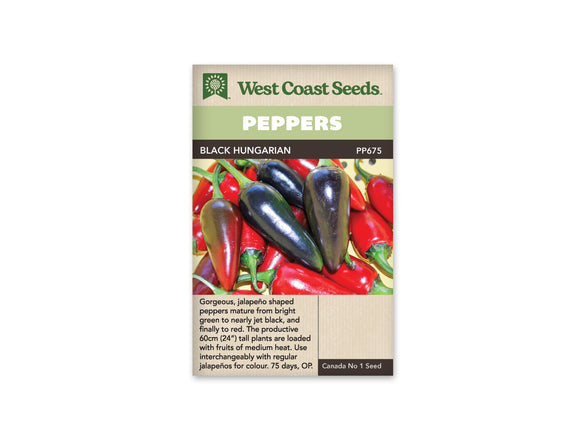 Peppers - Black Hungarian (Seeds)