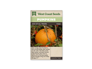 Pumpkin - Jack Of All Trades (Seeds)