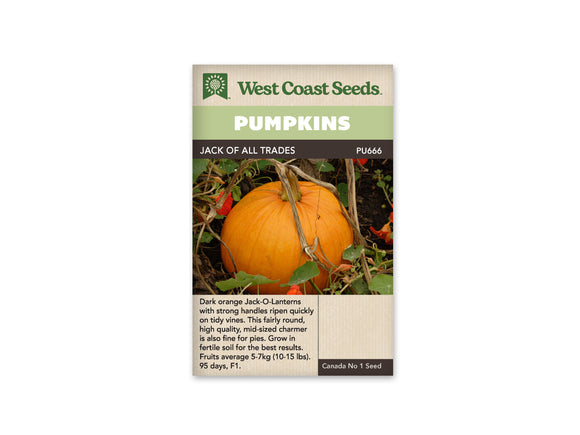 Pumpkin - Jack Of All Trades (Seeds)