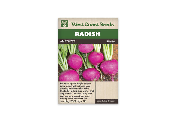 Radish - Amethyst (Seeds)