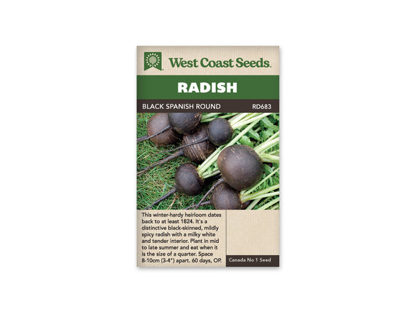 Radish - Black Spanish Round (Seeds)