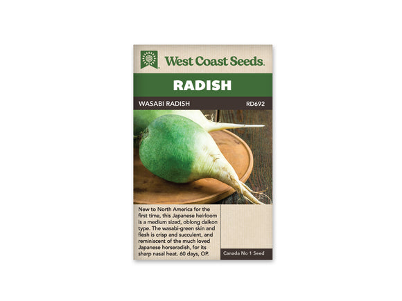 Radish - Wasabi (Seeds)