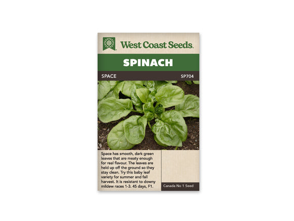 Spinach - Space F1 (Seeds)