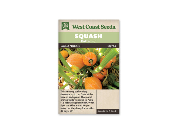 Squash - Gold Nugget Buttercup (Seeds)