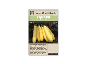 Squash - Butta F1 Summer (Seeds)