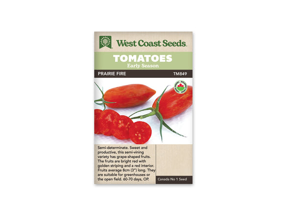 Tomato - Prairie Fire Organic (Seeds)