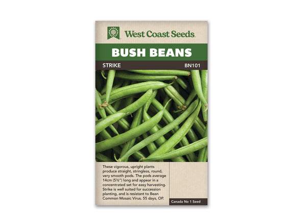 Beans - Strike Bush (Seeds)
