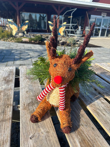 Workshop - Fresh Greens Sitting Reindeer (Nov. 21 @ 6pm)