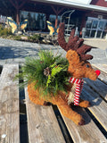 Workshop - Fresh Greens Sitting Reindeer (Nov 26 @ 2pm)