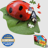 Puzzle - I Am Lil' Ladybug