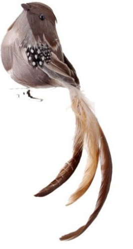 Bird Clip - Natural Feather Looking Left