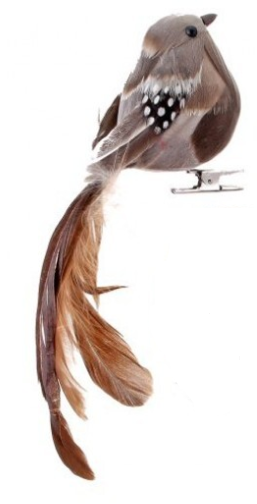 Bird Clip - Natural Feather Looking Right