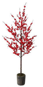 Ilex Berry Tree - Potted 54" (Small)