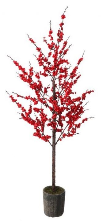 Ilex Berry Tree - Potted 54