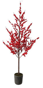 Ilex Berry Tree - Potted 67" (Large)