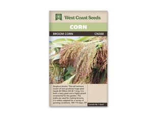 Corn - Broom Corn (Seeds)
