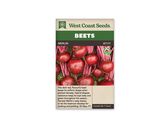 Beets - Merlin ORGANIC (Seeds)