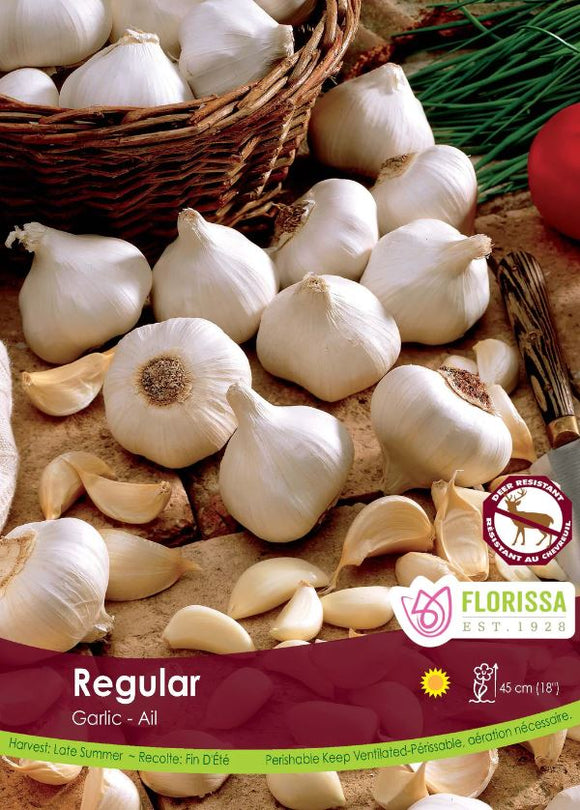 Garlic Bulbs - Regular Jumbo BULK