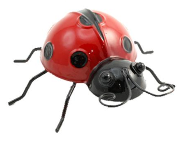 Wall Art - Ladybug (Large)