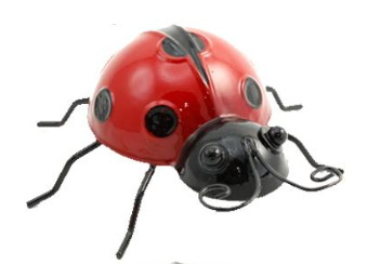 Wall Art - Ladybug (Medium)